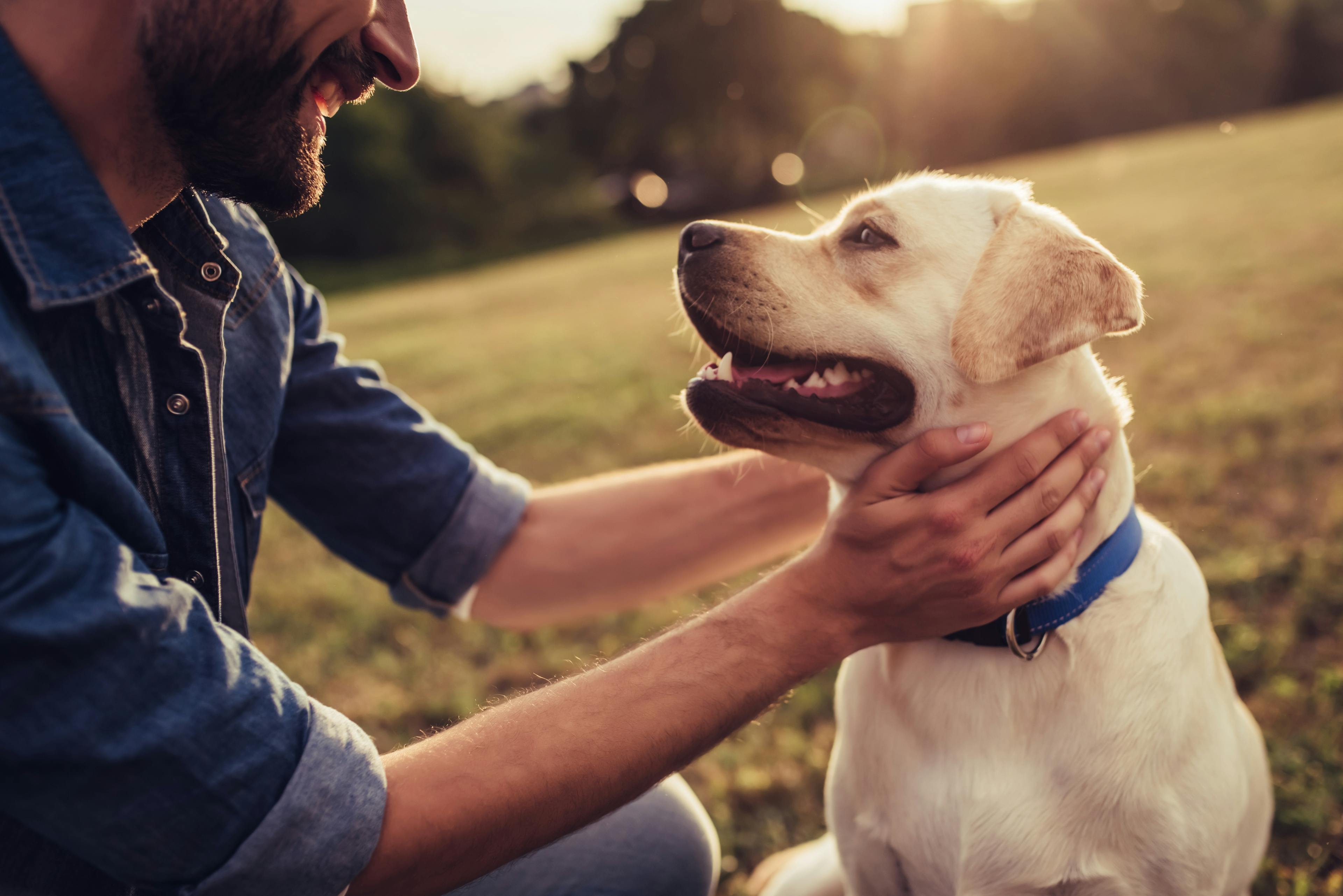 Basepaws Launches the Most Extensive DNA Test for Dogs, Focused on Health and Early Detection of Disease Risk
