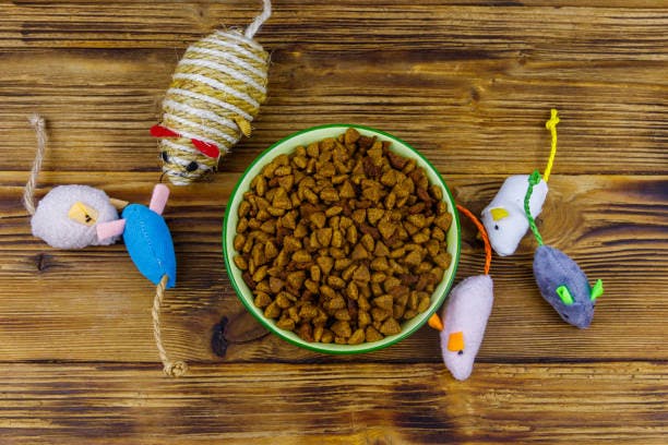 Interactive cat toys
