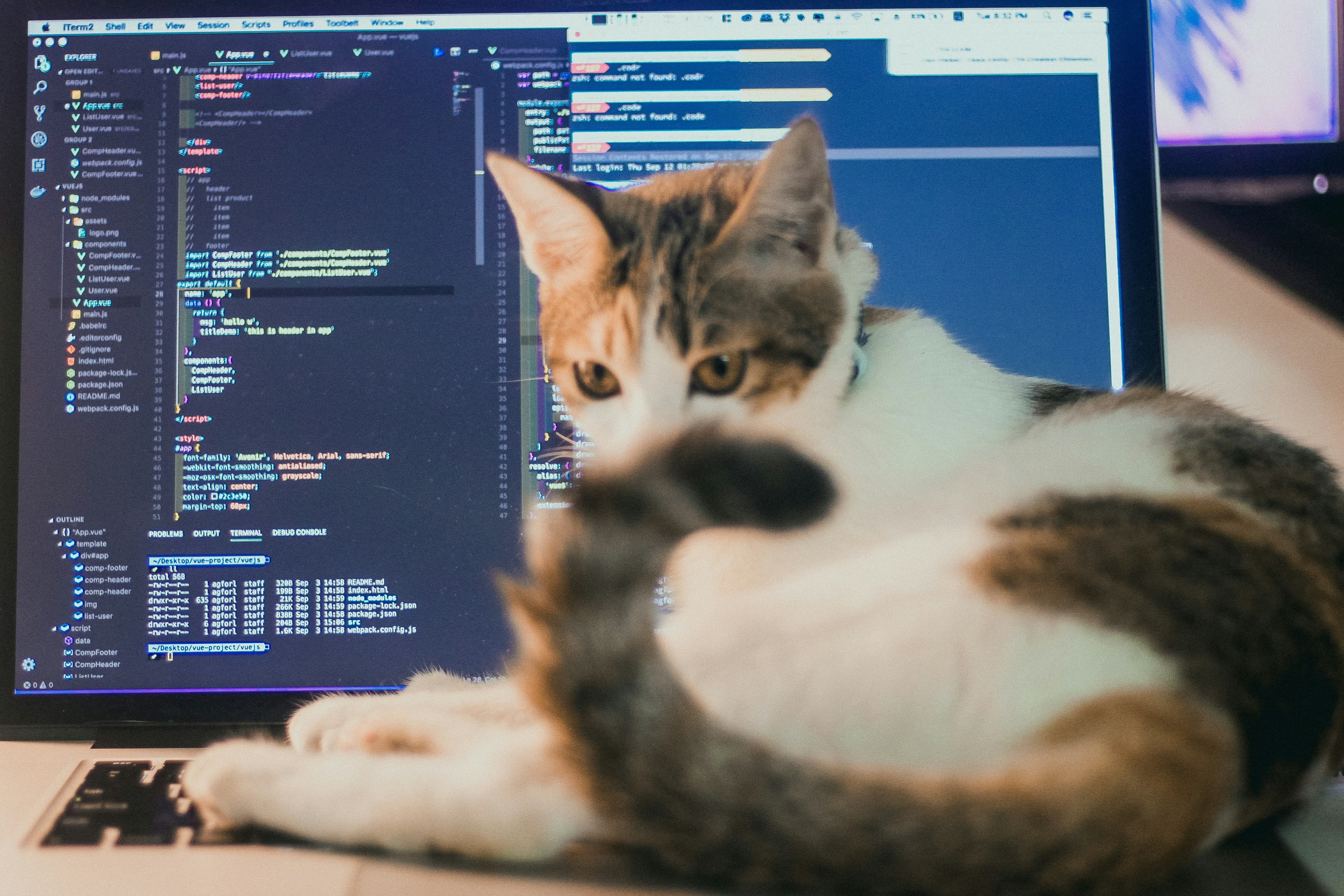 Cat Breed Identifier by Photo
