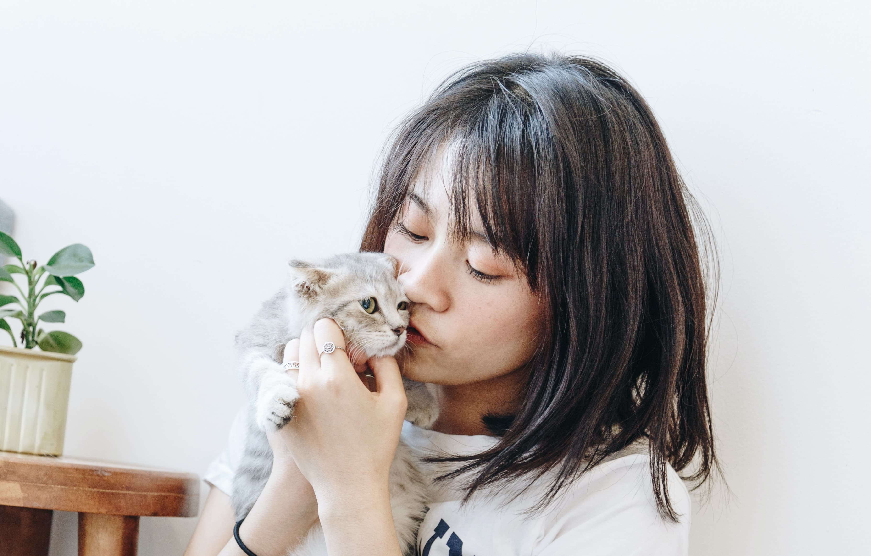 What Do Cats Think When We Kiss Them?