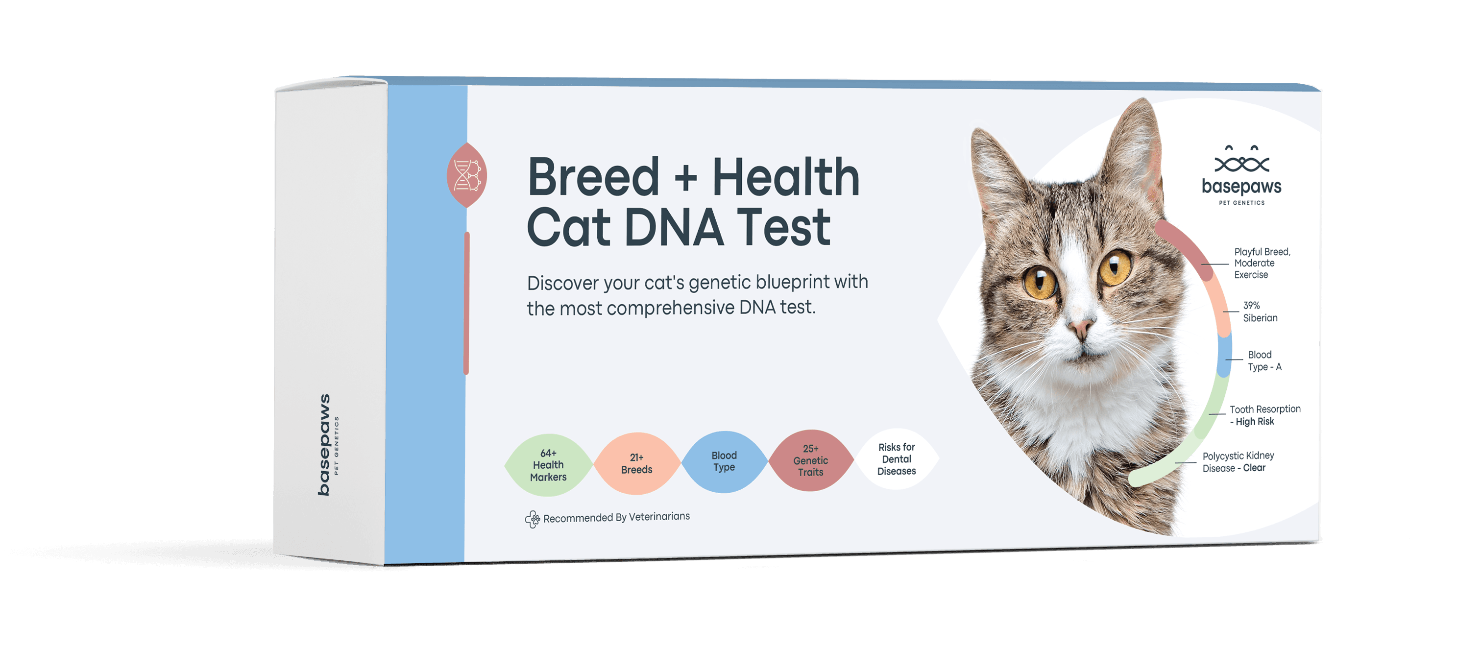 Basepaws Updates Its Breed + Health Cat DNA Test