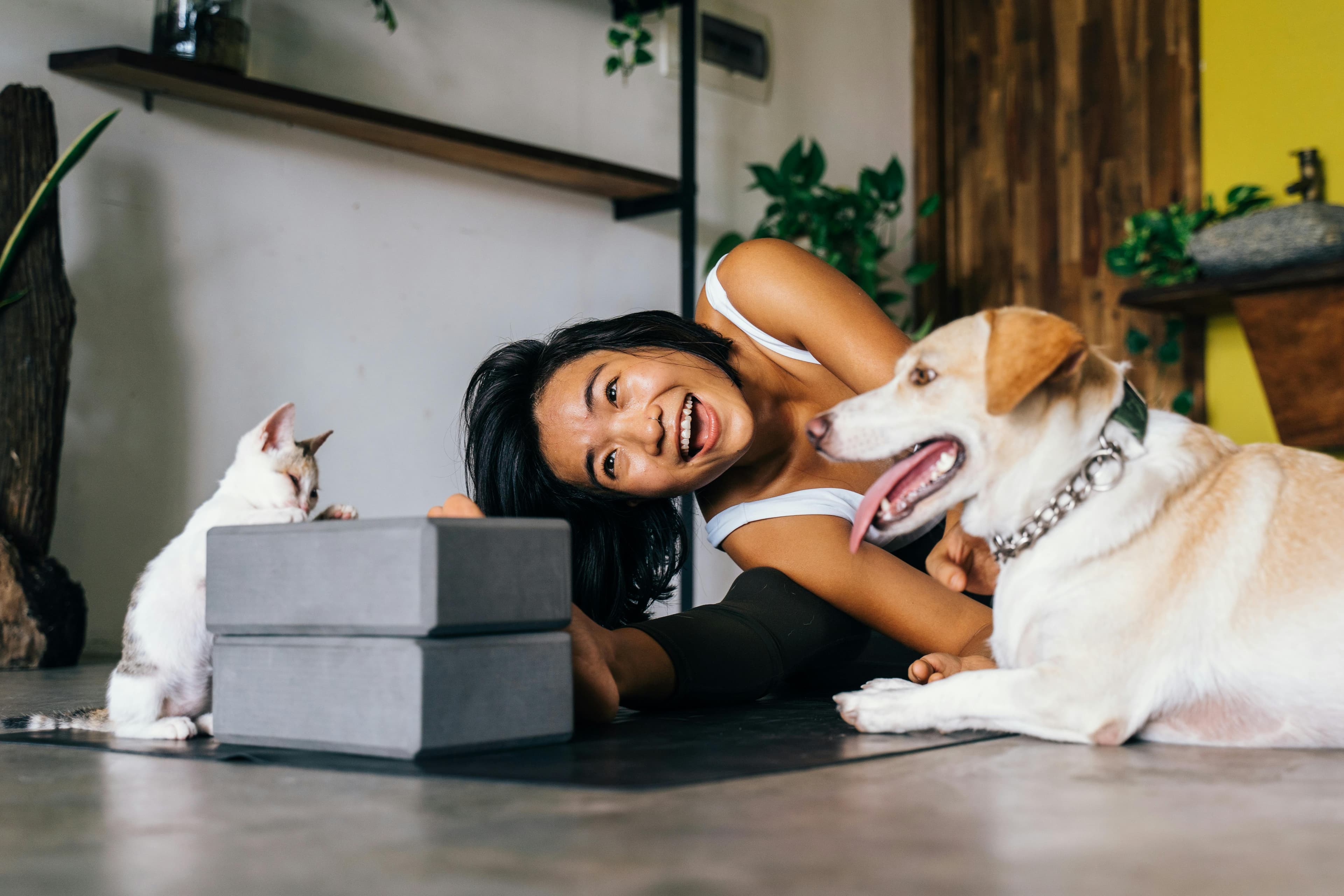 Pet-Safe Holiday Food