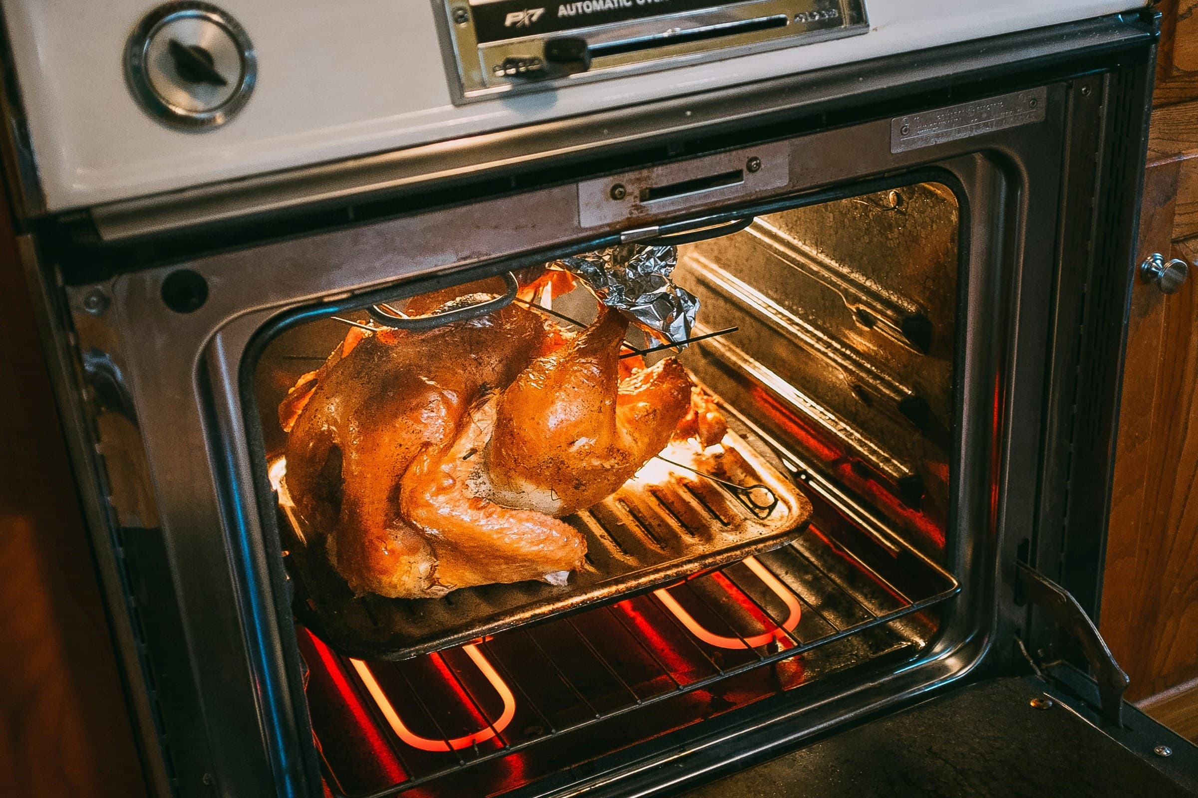 Can Dogs Eat Turkey?