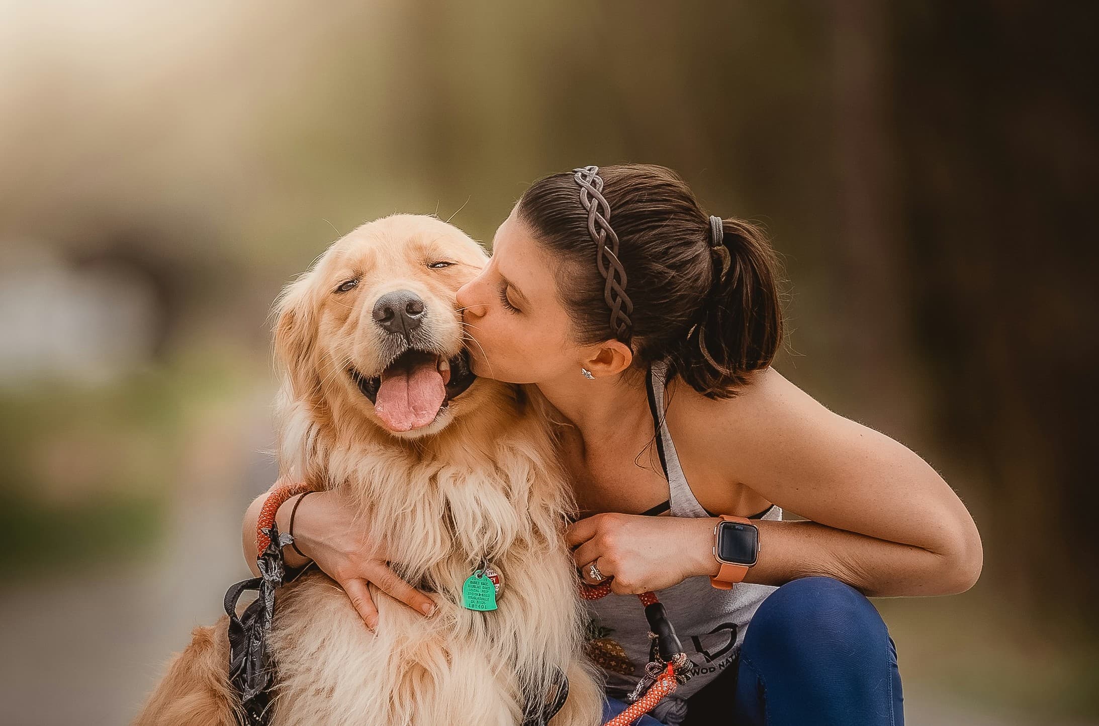Are Golden Retrievers Easy to Train?