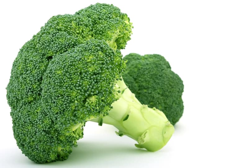 Can Dogs Eat Broccoli?
