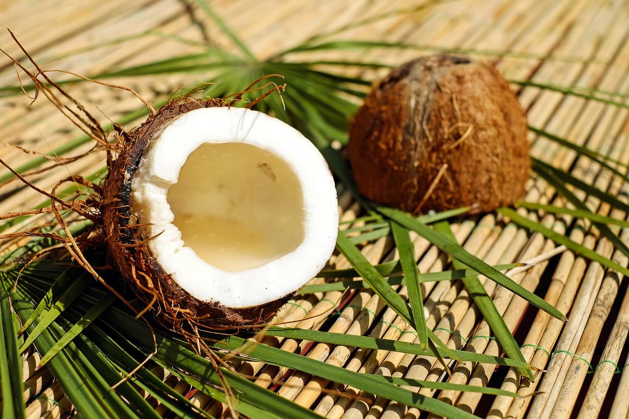 Can Dogs Eat Coconut?