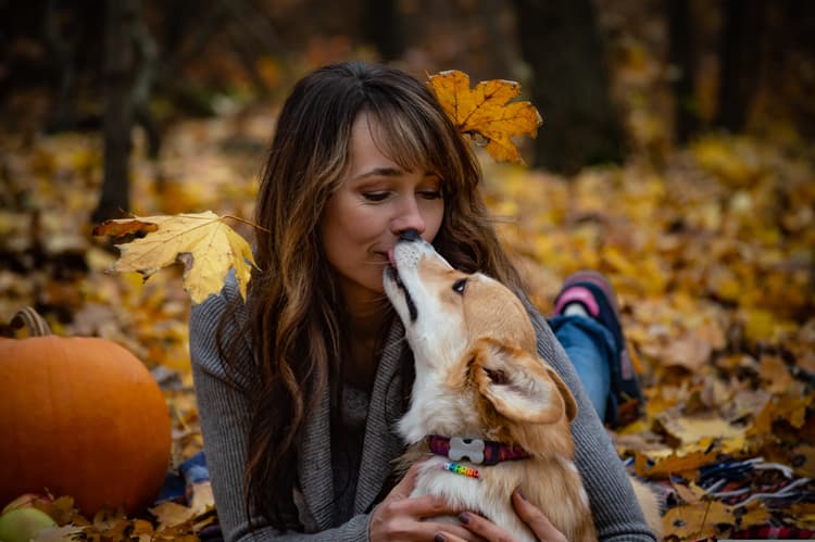 Why Do Dogs Lick You?