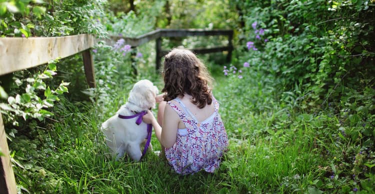 17 Most Loving Dog Breeds