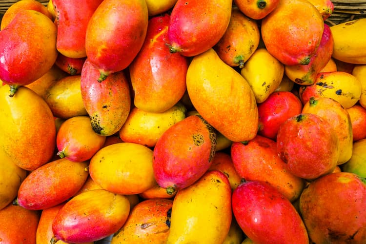 Can Cats Eat Mango?