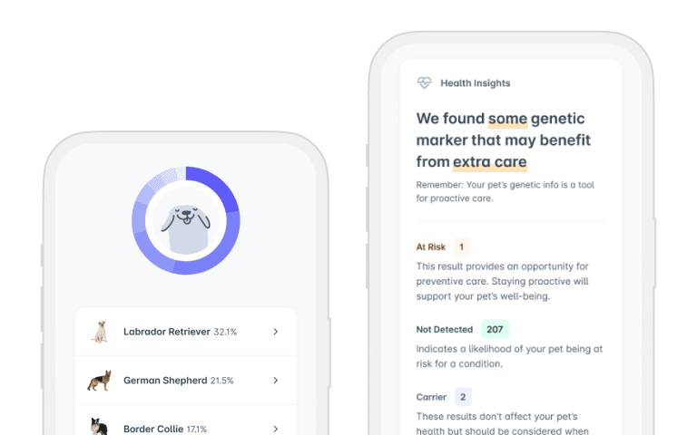 Sample Report Form - DOG