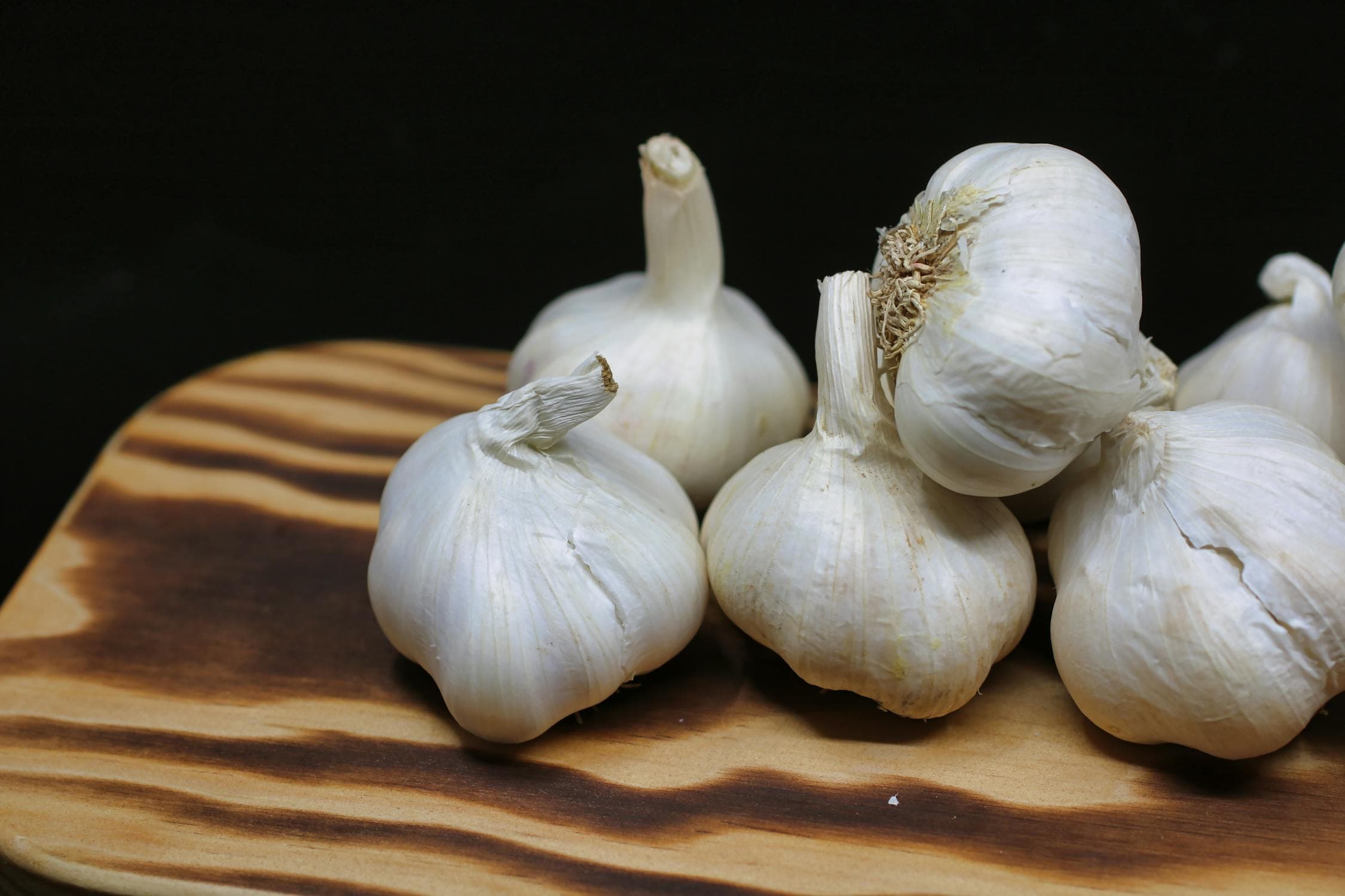 Can Dogs Eat Garlic?