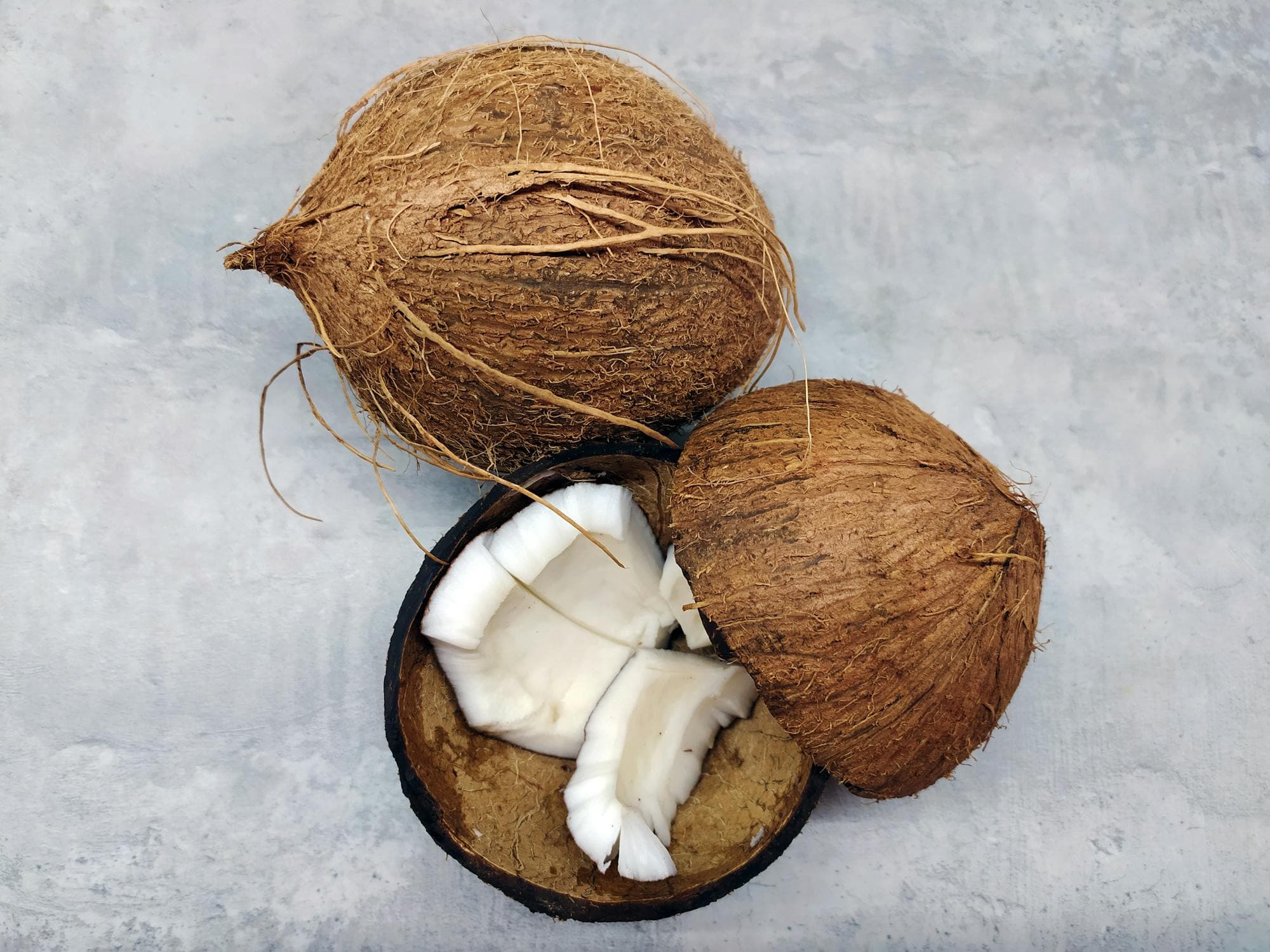 Can Cats Eat Coconut?