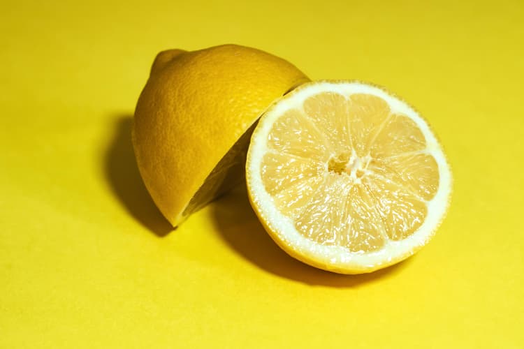 Can Cats Have Lemons?
