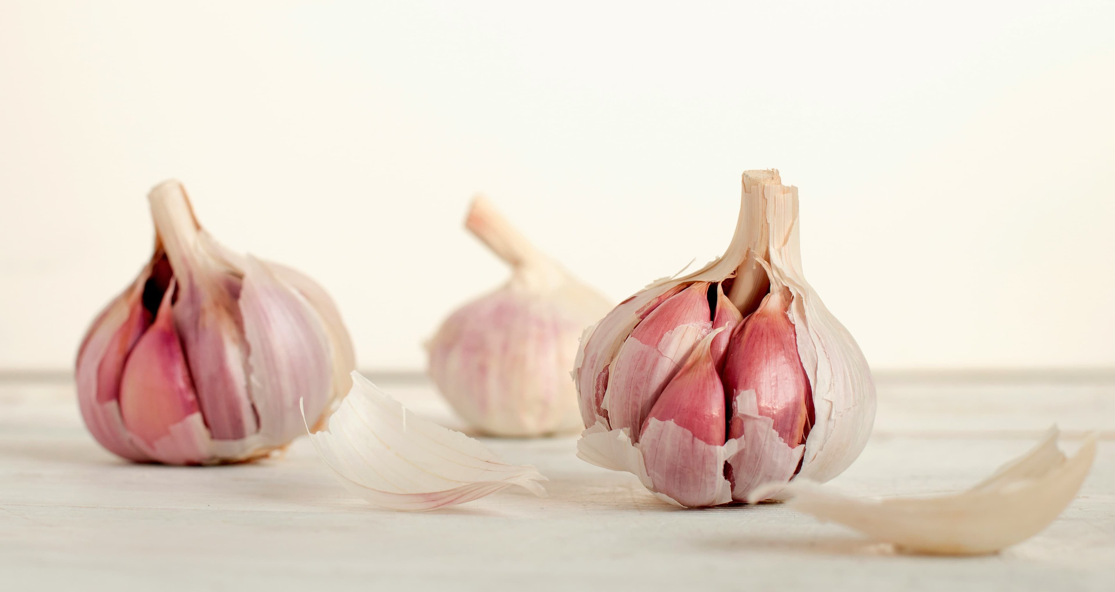 Can Cats Eat Garlic?