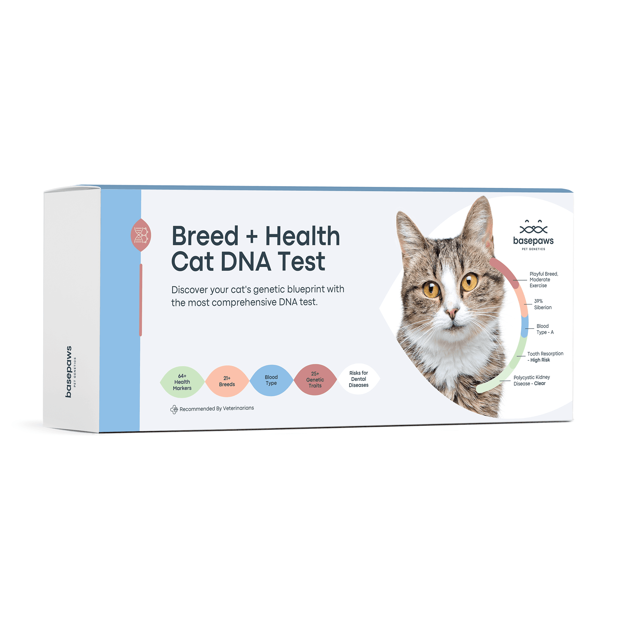 Basepaws Cat DNA Test | Breed, Health, Dental Diseases and Traits Reports