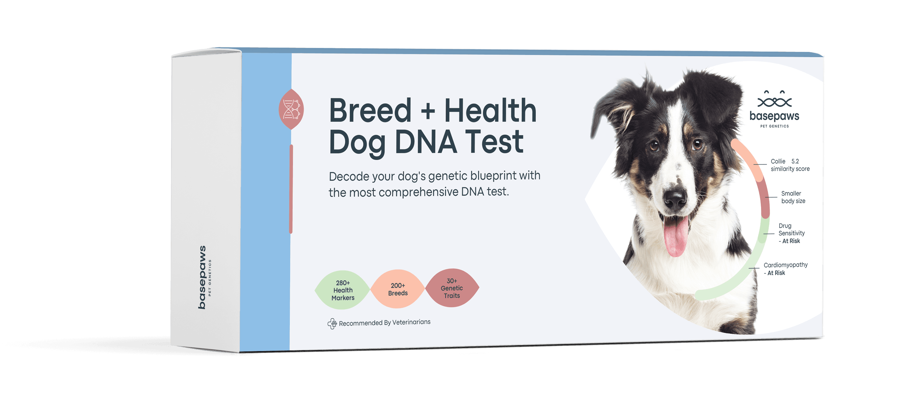 Dog Dna Test Price Philippines Dog Dna Test Price Philippines
