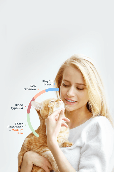 Cat Poop Chart: Colors, Consistency & What They Mean for Your Cat’s Health